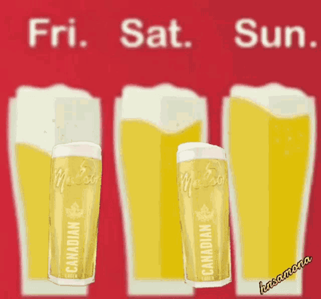 Beer Day GIF - Beer Day Happy GIFs