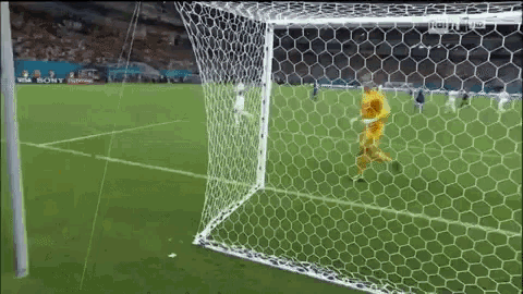 a soccer game is being played on a field with a sony ad in the background