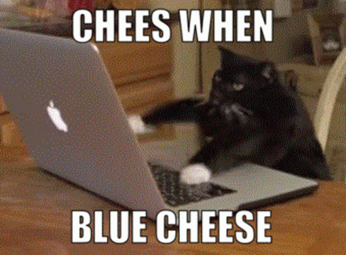 Chees Cheesqt GIF - Chees Cheesqt Blue Cheese GIFs