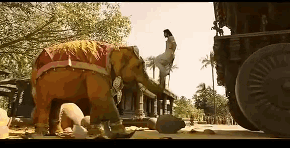 Elephant Senthil GIF - Elephant Senthil Bahubali GIFs