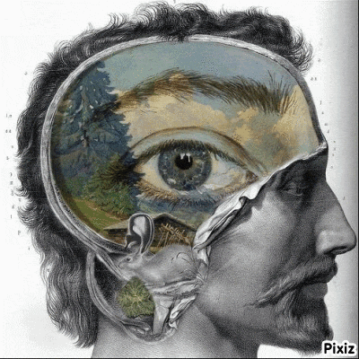 a black and white drawing of a man 's head with a picture of his eye inside of it