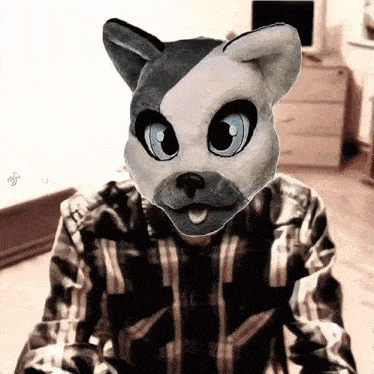 a man in a plaid shirt has a cat mask on his head