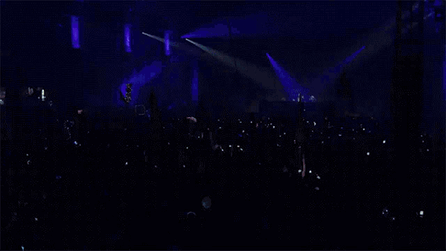 Party Concert GIF - Party Concert Music Festival GIFs