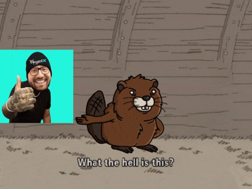 a cartoon of a beaver with the words " what the hell is this " below it