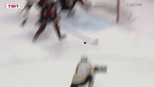 a hockey game is being played on a tsn channel