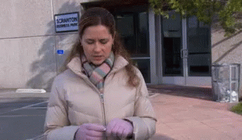 Back To Work GIF - The Office Pam Back To Work GIFs