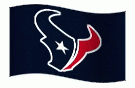 Houston Texans GIF - Houston Texans Football GIFs