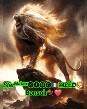 a picture of a lion with the words star maker king mes bonsoir