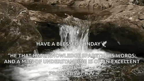 a black and white photo of a waterfall with a quote from proverbs .