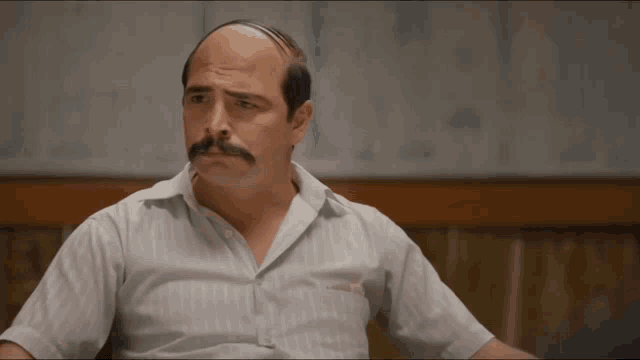 a bald man with a mustache is wearing a shirt that says calvin klein on it
