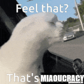 a picture of a cat with the words feel that that 's miaoucracy on it