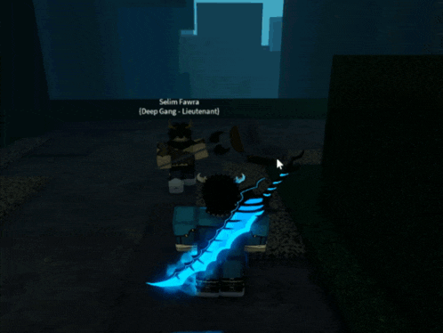a screenshot of a video game with the name selim favera on the bottom