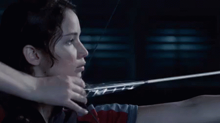 Right On Target GIF - Thehungergames Hungergames GIFs