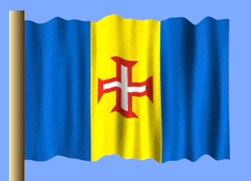 a blue and yellow flag with a red white and blue cross on it