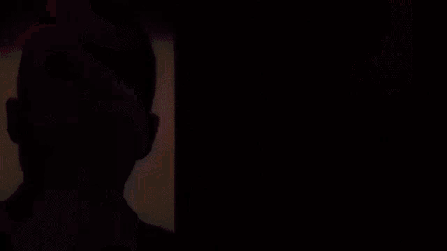 a man is singing into a microphone in front of a green screen with a shadow of a person on it .