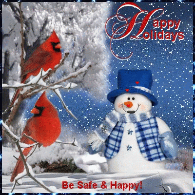 Happy Holidays Cardinal GIF - Happy Holidays Cardinal Be Safe GIFs