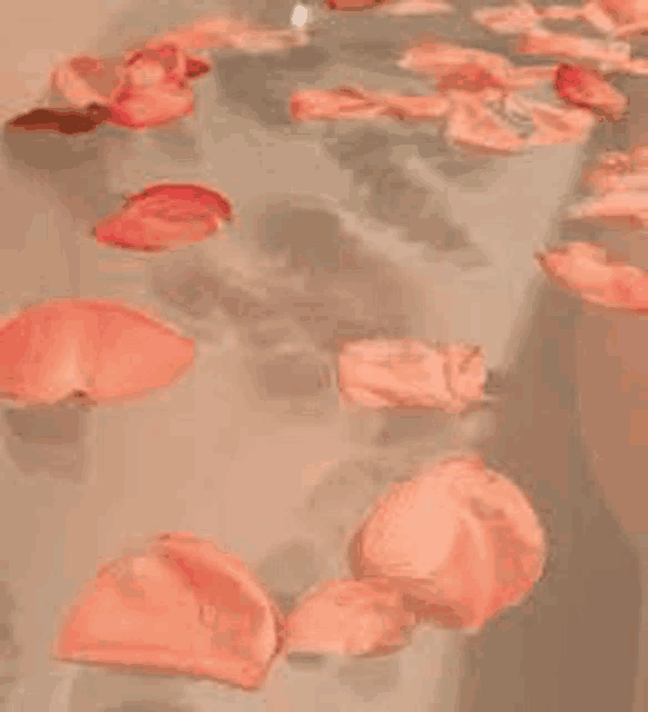 a bathtub filled with water and rose petals .