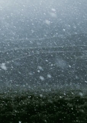 Winter Is Here Snow Storm GIF - Winter Is Here Snow Storm Blizzard GIFs