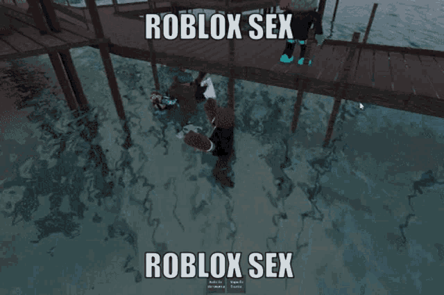 a screenshot of a video game with the words roblox sex on it