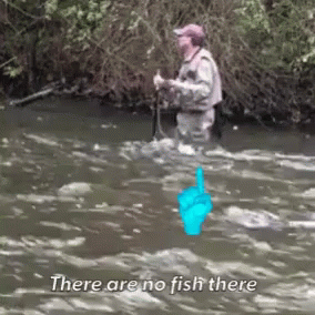 No Fish There Fishing GIF - No Fish There Fishing Confused GIFs