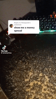 a screenshot of a tiktok video that says show me a money spread ..