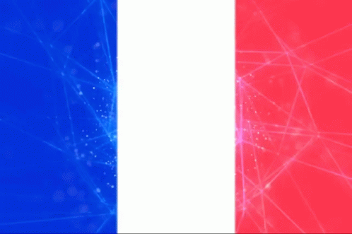 France Flag Tiger Flags GIF - France Flag Tiger Flags Shining GIFs