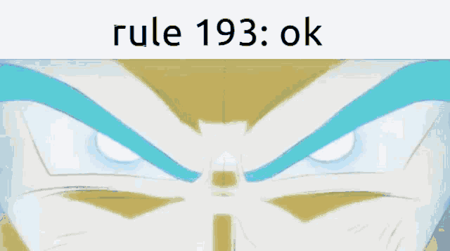 a close up of a person 's face with the words rule 193 : ok above it .