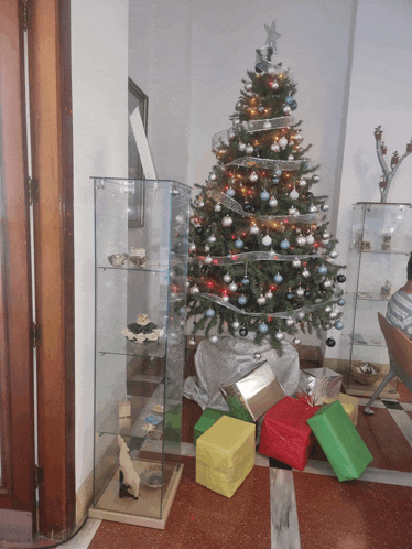 a christmas tree with a star on top is surrounded by presents