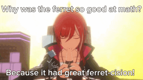 why was the ferret so good at math because it had great ferret-cision !