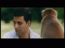 Monkey Slap GIF - Monkey Slap Akshay Kumar GIFs