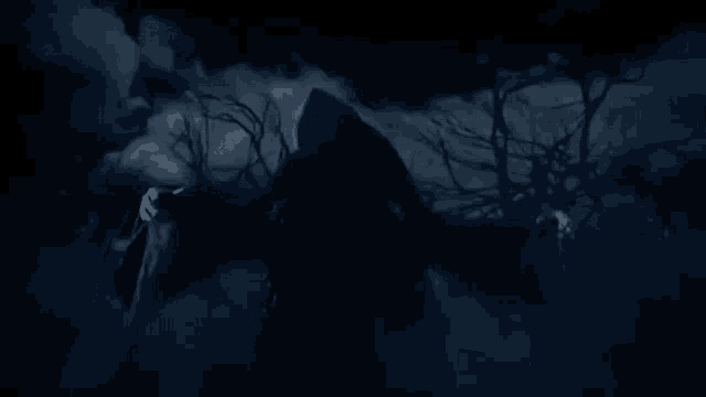 a grim reaper in a hooded cloak is standing in a dark forest .