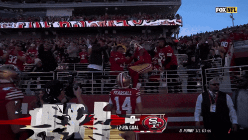 a football player with the number 14 on his jersey jumps in the air