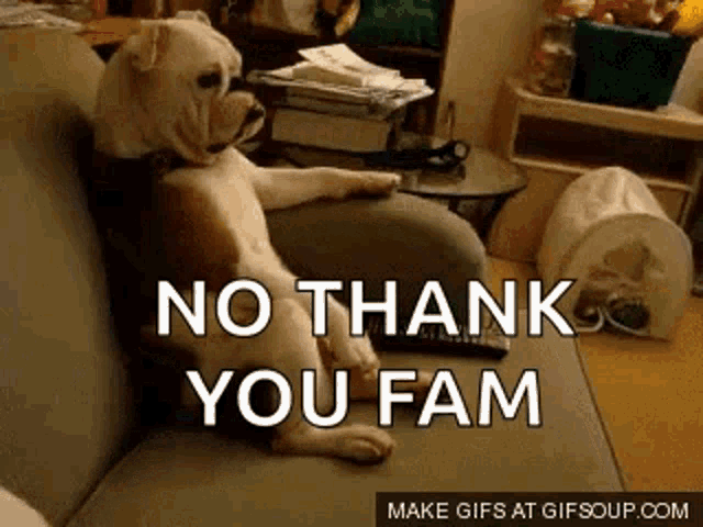 a dog is sitting on a couch with the words no thank you fam written on it .