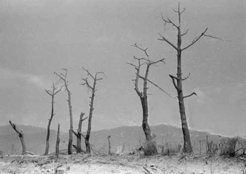 Hiroshima 71years GIF - Hiroshima 71years Before And After GIFs