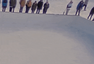 a group of people are watching a person playing ice hockey