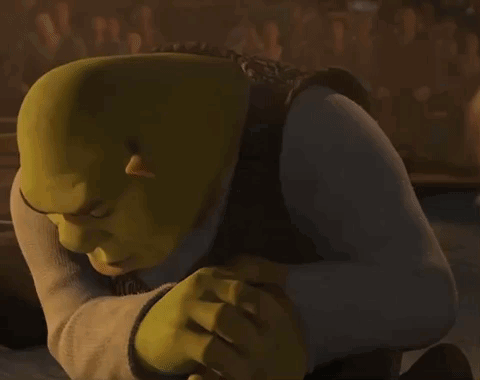 Shrek Shrek Meme GIF - Shrek Shrek Meme Shrek Staring GIFs