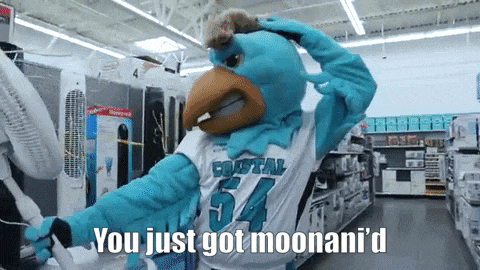 a mascot wearing a coastal jersey says you just got moonani d
