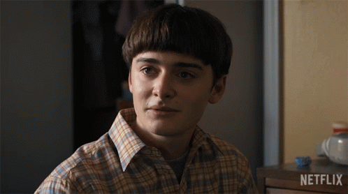 Right Will Byers GIF - Right Will Byers Noah Schnapp GIFs