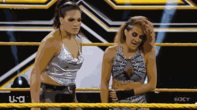 two women are standing in a wrestling ring with a usa logo behind them