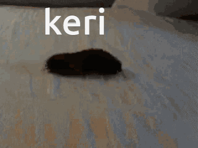 the word keri that is on a blanket