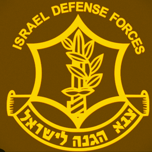 Idf Israel Defense Forces GIF - Idf Israel Defense Forces Support Israel GIFs