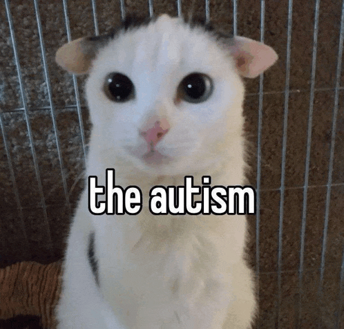 a white cat in a cage with the words the autism written above it