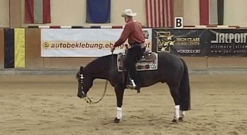 Spin Right GIF - Spin Right Horse GIFs