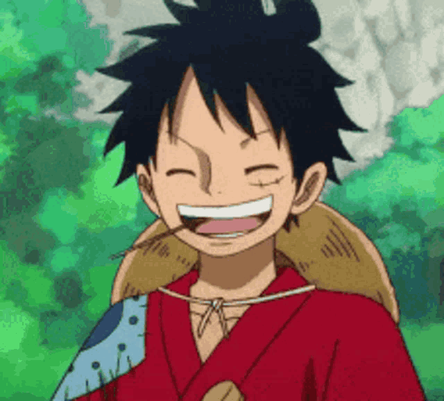 monkey d luffy from one piece is smiling and wearing a red kimono