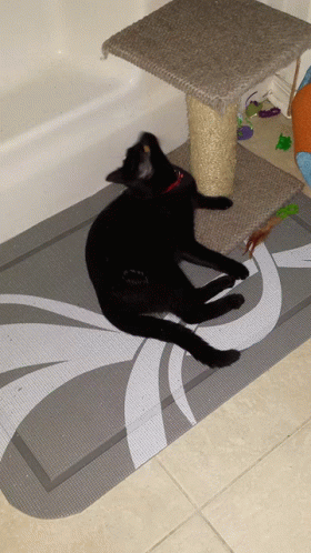 Alvin Black GIF - Alvin Black Cat GIFs