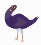 Purple Dove GIF - Purple Dove GIFs