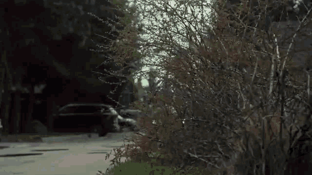 a car is parked on the side of the road next to a bush