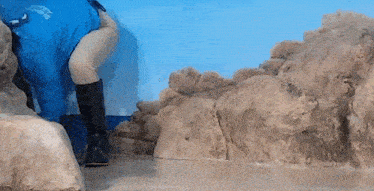 a person in a blue jacket with a shark on it