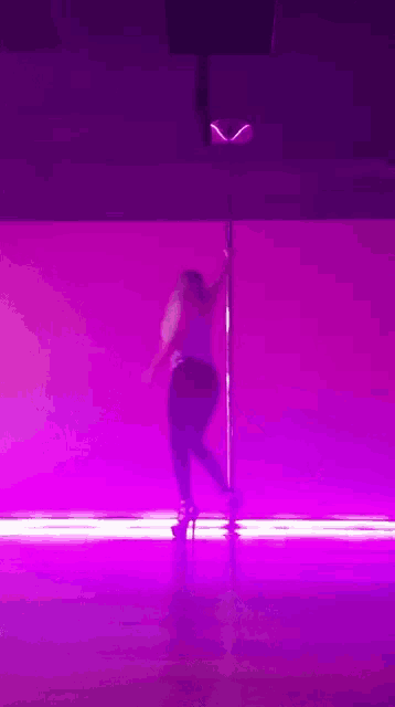Pole Dance Moves GIF