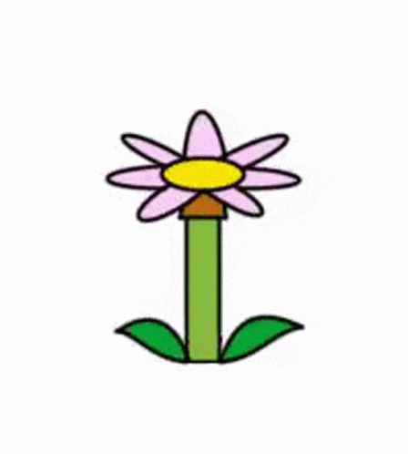 Flower Flower Growing GIF - Flower Flower Growing Animation GIFs